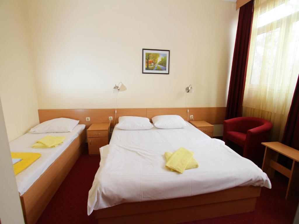 Aleksander A Inn Subotica Pokoj fotografie
